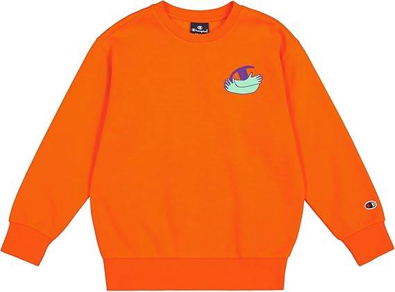 CREWNECK SWEATSHIRT