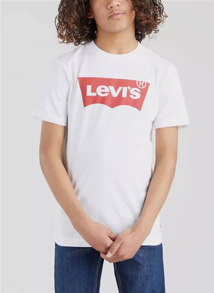 SHIRT BASIC
