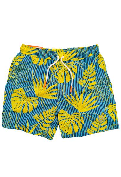 BOXER - K SANTAMARGHERITA PRIN SUNS