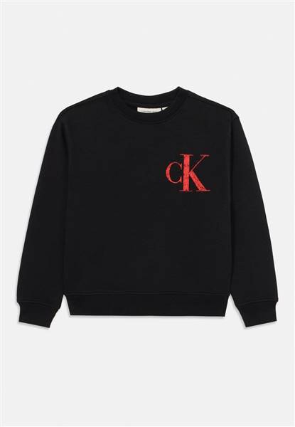 FELPA RAGAZZO CALVIN KLEIN