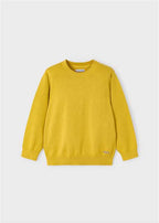 JERSEY COTONE BASICO C/ROTOND