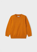 JERSEY COTONE BASICO C/ROTOND