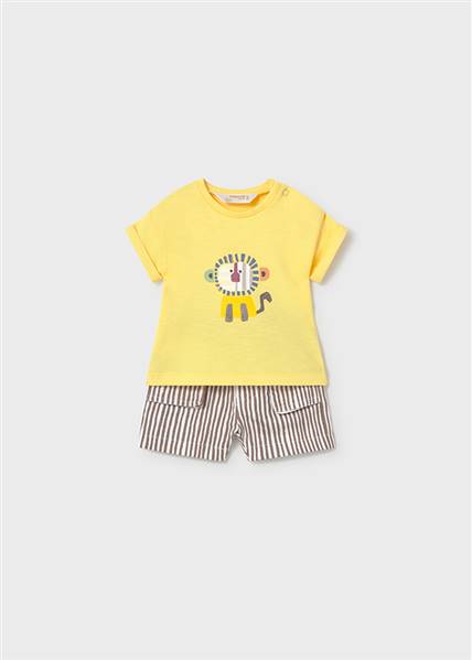 COMPL.PANTALONE CORTO