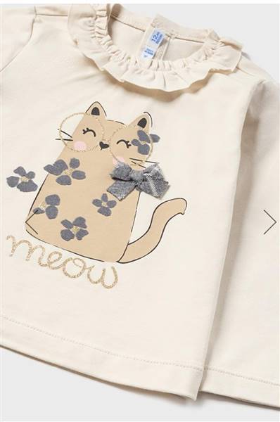 COMPL. BERMUDA MAYORAL